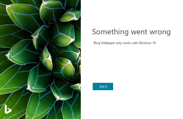 Bing Wallpaper رֽ,Bing Wallpaper İ,Bing Wallpaper Ѱ,Ӧֽ,ֽ