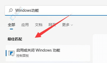 Win11ɰװļһ¥