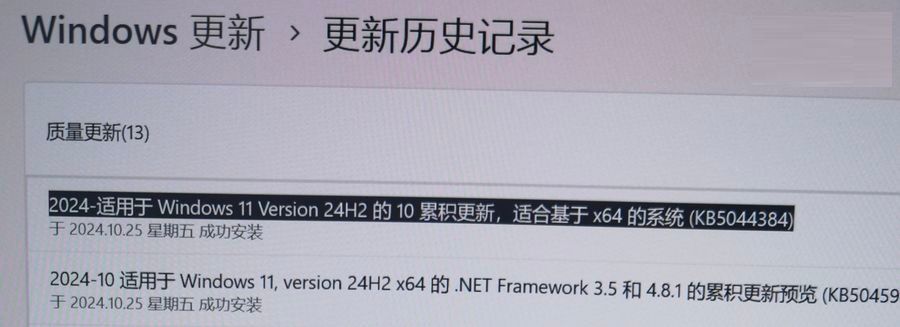 Win11 24H2 26100.2161 A(y)[棺ޏ(f) 8.63GB SFC  BUG