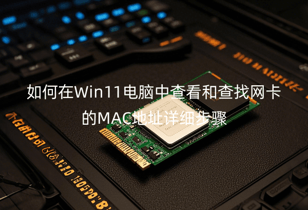 Win11в鿴ͲMACַϸ