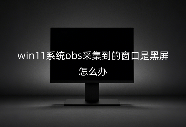 win11ϵͳobsɼĴǺô