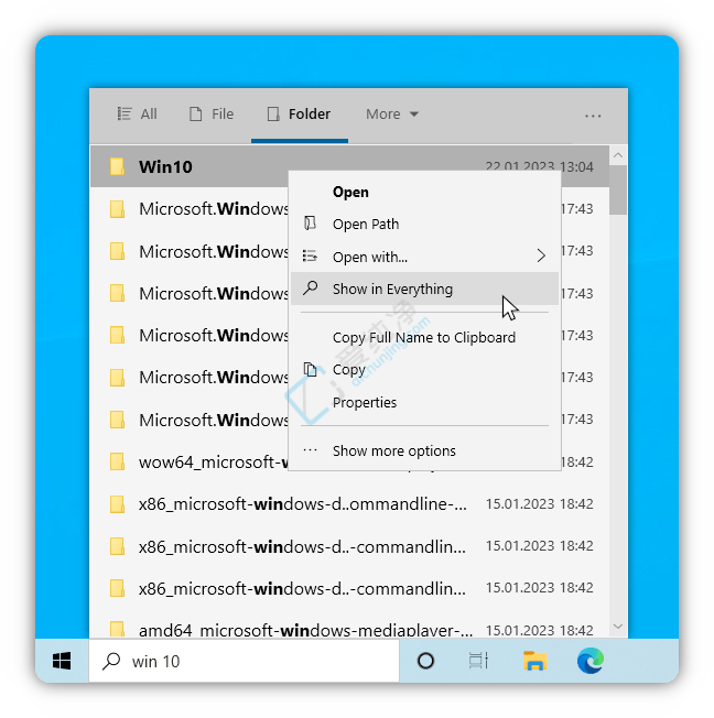 EverythingToolbar,,ļ,Everything,,ļ,ļ,ļ