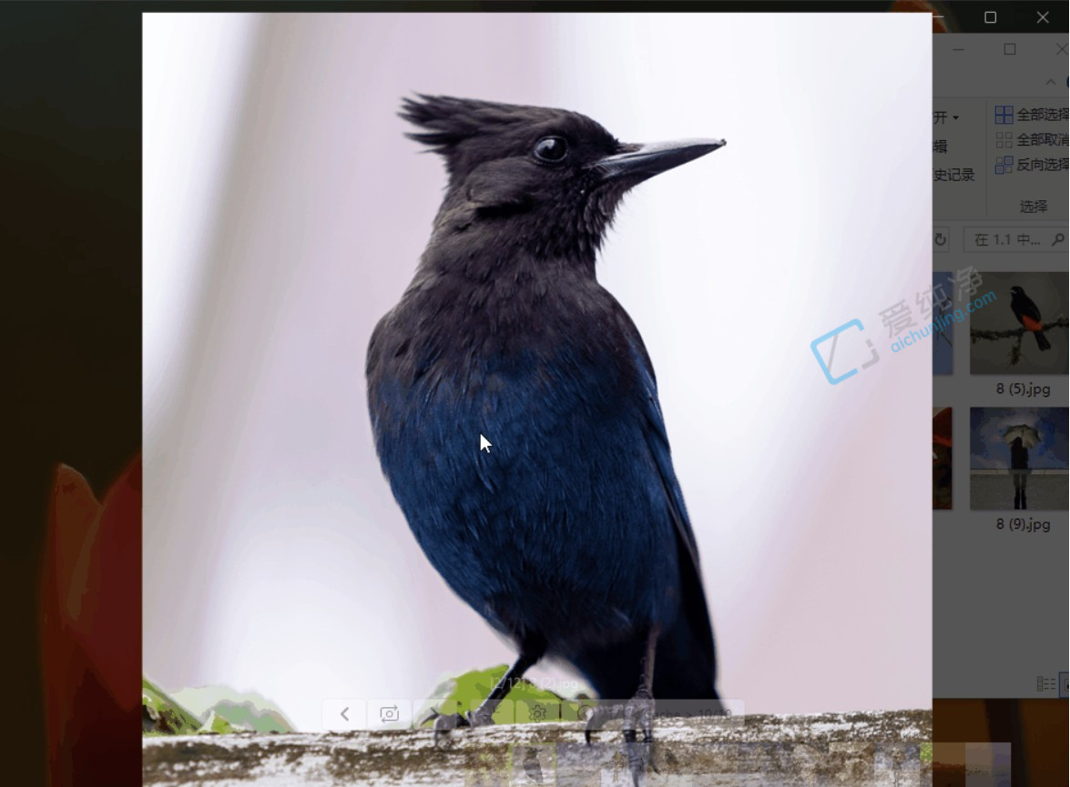 FlyPhotos,电脑看图工具,看图软件,图像管理工具,图片查看器